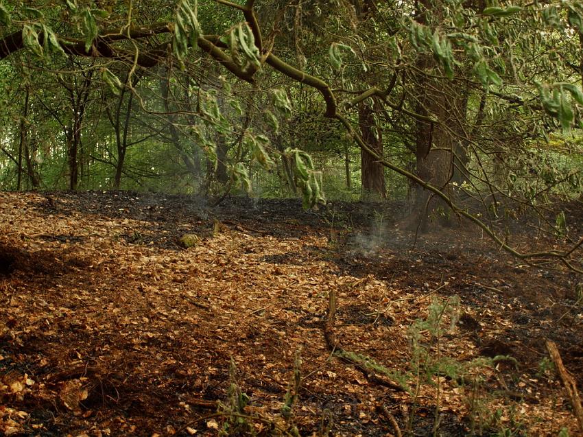 Waldbrand Bergisch Gladbach Bensberg P076.JPG